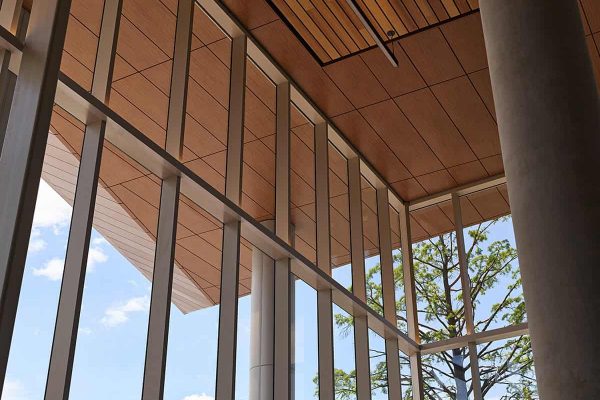 Wheaton Town Center - Interior Ceiling - Custom Woodgrain (1) - LR