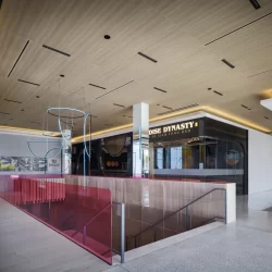 Project Example of Large Format Metal Ceiling System - Torsion Spring from Pure + FreeForm.