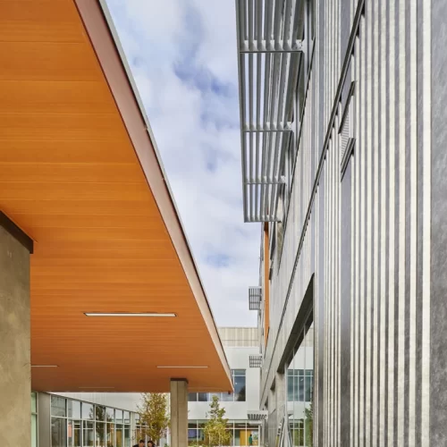 MountSiHighSchool_ExteriorWalls_Soffit_CorrugatedPanels_Woodgrain_Silver1 MountSiHighSchool_ExteriorWalls_Soffit_CorrugatedPanels_Woodgrain_Silver1
