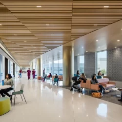 UniversityHealthWomen'sAndChildrensBaffleCeiling_Woodgrain3 Baffle Ceiling & Torsion Spring Woodgrain Ceiling in large hospital.