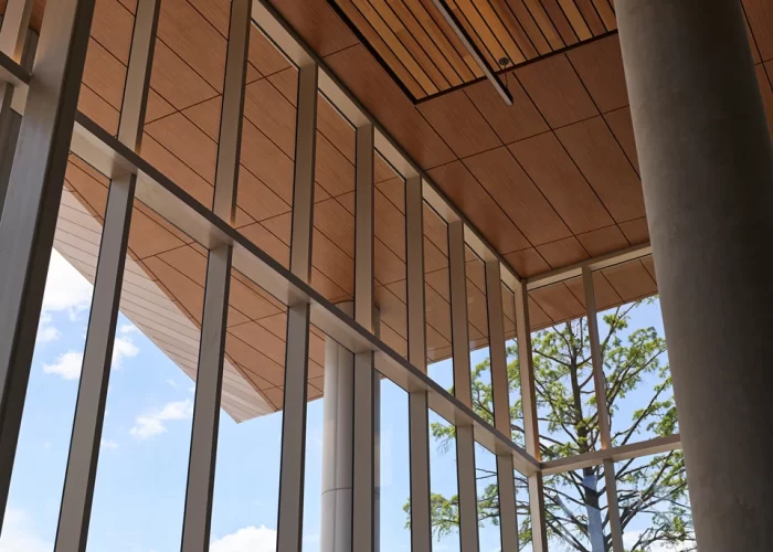 WheatonTown Center_InteriorCeiling_CustomWoodgrain6 Woodgrain siding and soffit metal panels.