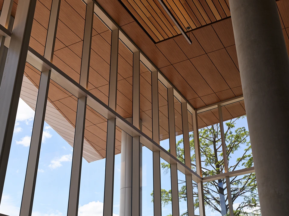 Woodgrain siding and soffit metal panels.