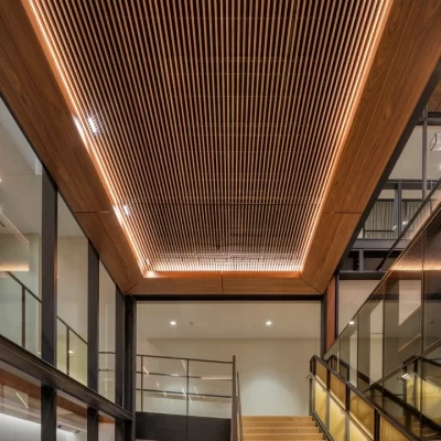 JohnsHopkinsUniversity_InteriorCeilings_Baffle_WoodgrainSquare JohnsHopkinsUniversity_InteriorCeilings_Baffle_WoodgrainSquare