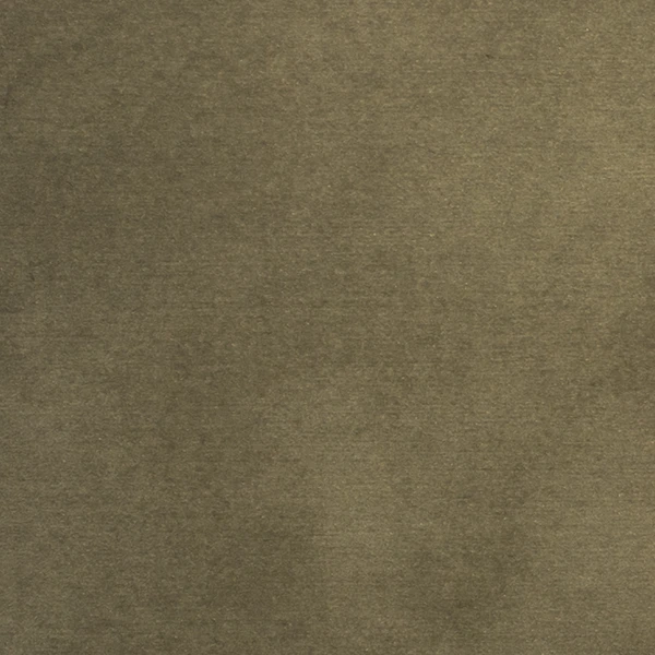Patina Silver takes on shades of mature silver pearlesance.