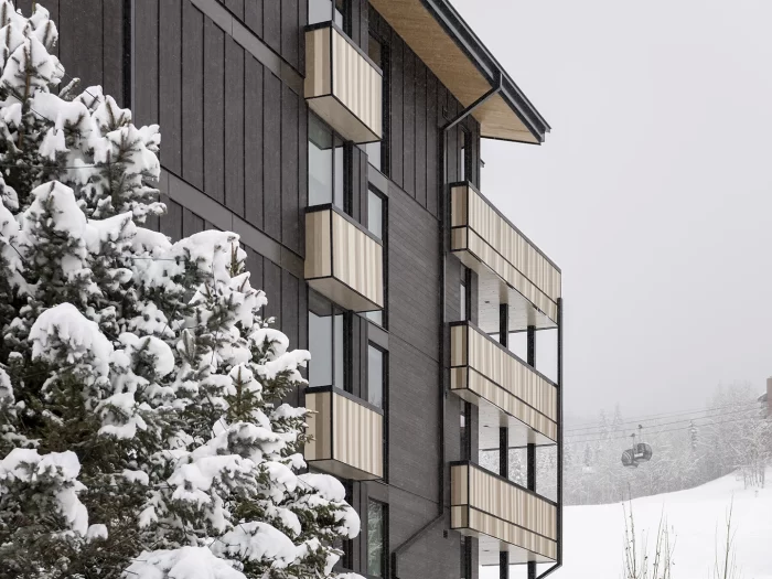 SnowmassBuilding12_ExteriorMetalWall_Bronze2 SnowmassBuilding12_ExteriorMetalWall_Bronze2