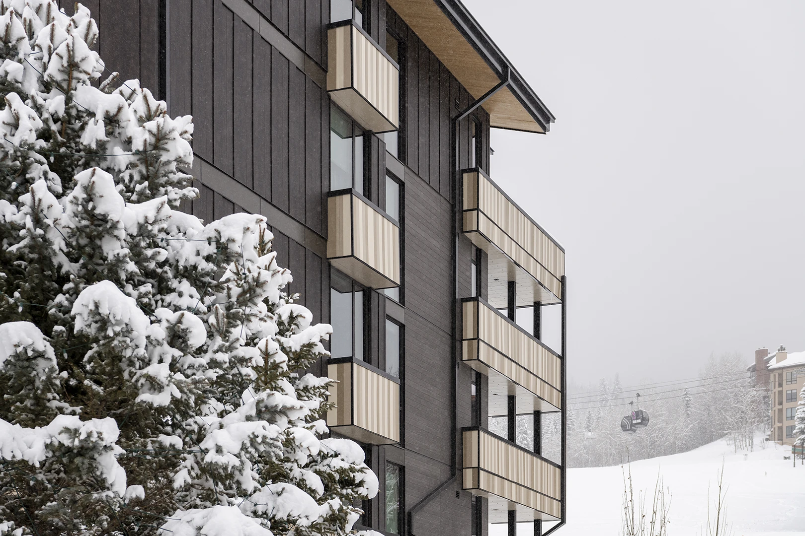 SnowmassBuilding12_ExteriorMetalWall_Bronze2