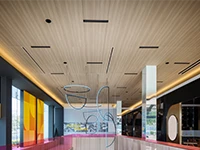 Expanse™ (*Torsion Spring)