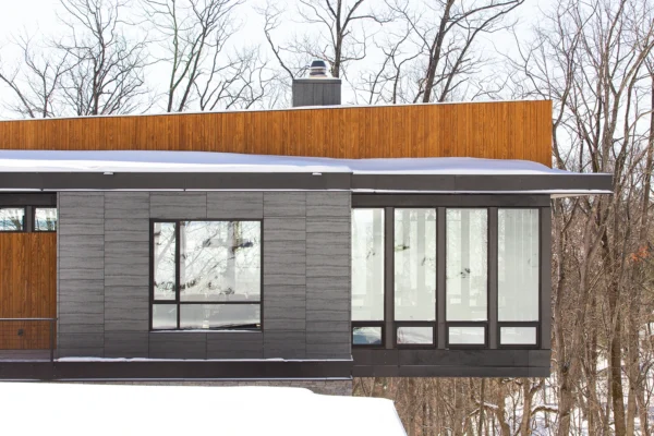 LuxuryLakeviewHouse_ExteriorMetalWall_BlackenedSteel2 LuxuryLakeviewHouse_ExteriorMetalWall_BlackenedSteel2
