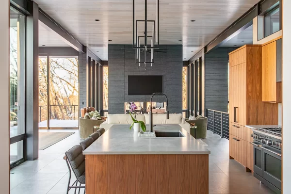 LuxuryLakeviewHouse_InteriorMetalWall_BlackenedSteel2 LuxuryLakeviewHouse_InteriorMetalWall_BlackenedSteel2